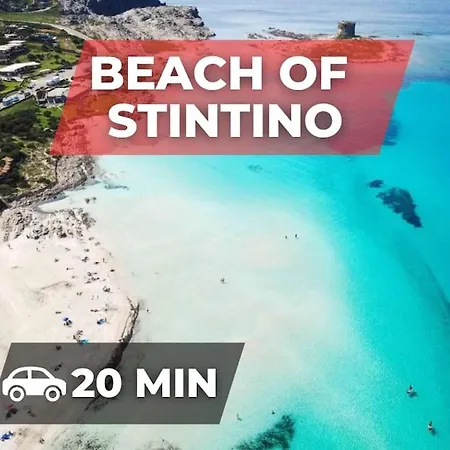 Tutto A 2 Passi, Nel Pieno Centro * Sassari